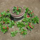 정원지역아동센터 이미지