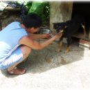 칠선펜션 이미지