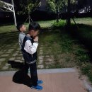 리틀타이거 태권도 이미지