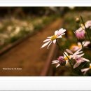 고잔농장 이미지