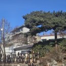 해맞이전통떡 | 붐비는 새해 해맞이, 송도유원지 맛집 '장독 집'에서 찾은 따뜻한 위로와 든든한 한 끼!