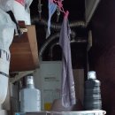 신흥현대공인중개사사무소 이미지