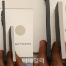 엣지 티스토리