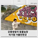 쌍둥이농장 | 강릉쌍둥이 동물농장 아기랑 방문 후기｜강릉 24개월 아이랑 가볼만한 곳