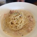 스파게티 스토리 이미지