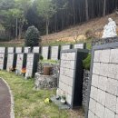 성심원한의원 이미지