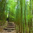 '법정스님 위독' 확인했지만...나는 그닐 특종을 포기했다 {백성호의 궁궁통통] 이미지