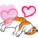 다몽그루밍 이미지