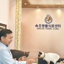 고제용 동물병원 이미지