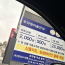 안산 핫플레이스 색다른 이색체험 롤러타봤니?롤러소닉가자