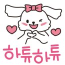 뚱강아지 이미지