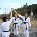 대학태권도체육관 이미지