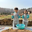 (지혜)23.03.28 🥔감자심기를 하러 다녀왔어요🥔 이미지