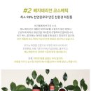 애플화장품