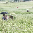 일대농장 이미지