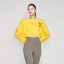 T0024 이미지