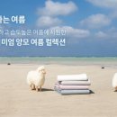 사계절세탁 이미지