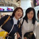 제주파크장 이미지