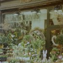 사계절꽃집 이미지