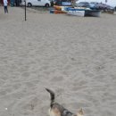 불이채민박 이미지