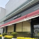 하남 | 스타필드 애견동반 식당, 띤띤 베트남 음식점 후기
