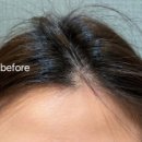 강남에스라인 이미지