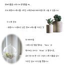 반려식물 - 정읍시 하신경9길 3 | 반려식물