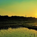 대포동-6 이미지