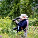 엘리의 정원 이미지