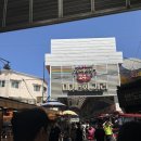 포항시북구37 | 포항 죽도시장 대게와 회를 즐길 수 있는 맛있는포항 내돈내산 후기