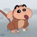 사오 이미지