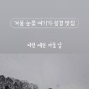 포레드노드 이미지