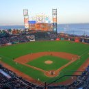 야구장 수용인원을 좀 더 많게 지을 순 없나? 이미지