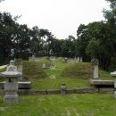 이사위묘 이미지