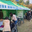 여수교육지원청 '창의융합 여수 수학·과학 축전' 개최[미래교육신문] 이미지