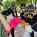 쌍곡폭포산장펜션 이미지