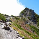 고산식물의 보고 남알프스 및 후지산 종주(6일) 이미지