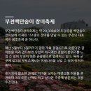 도당애견 이미지