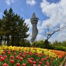 청초호유원지(중앙) 프레시안