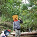 덕진초등학교병설유치원 이미지