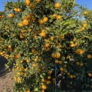 경철농장 이미지