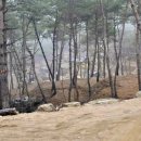 곡성사슴 이미지