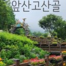 앞산어린이공원 놀이터 이미지