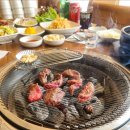 집으로고기