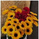 콩나물노래연습장 이미지