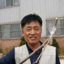 감연