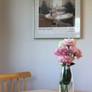 슬로우리제주 이미지