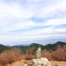 사파동151 이미지