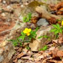 주성카써비스 이미지