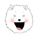 댕댕이 애견샵 이미지